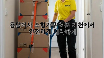 용달이사, 소형가구 이동: 제천에서 안전하게 이사하기